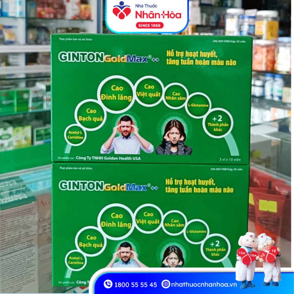 Mua Ginton Gold Max++ Ở Đâu Chính Hãng?