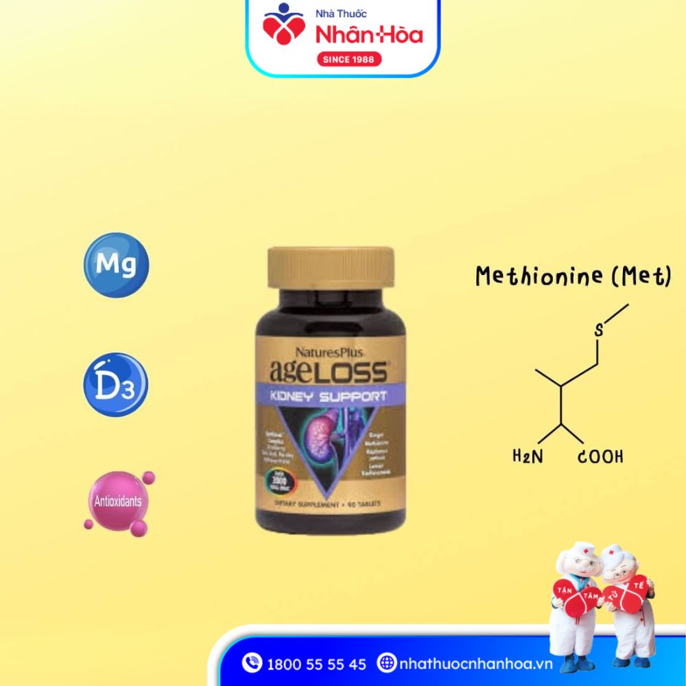 Thành Phần Của AgeLoss Brain Support